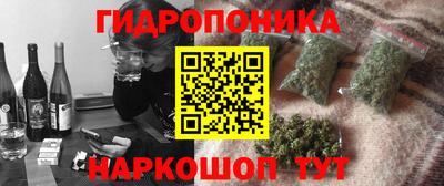 apvp Лесосибирск