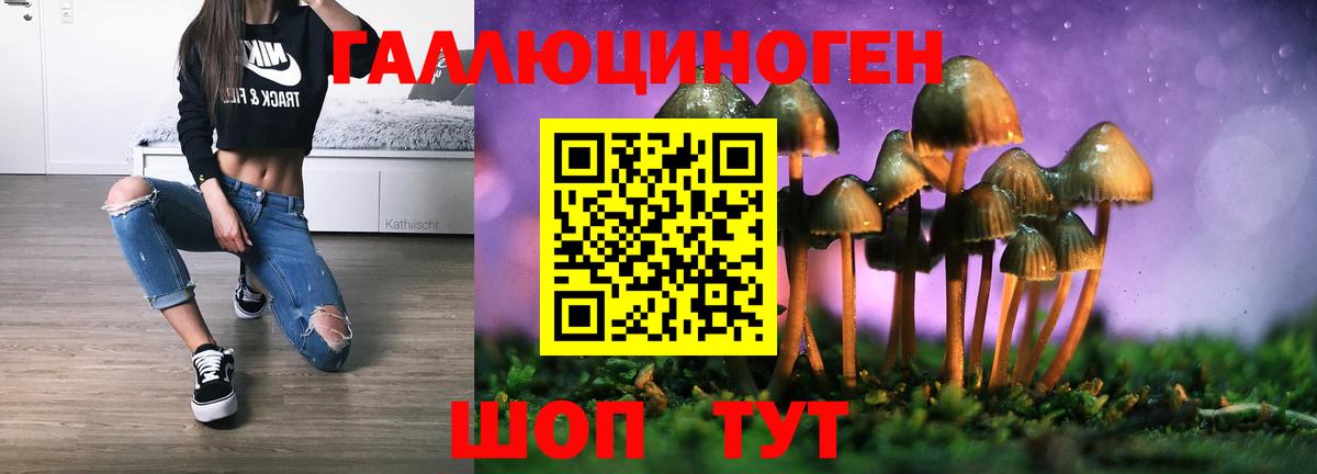 Ставрополь  Псилоцибиновые грибы прущие грибы  где купить   Галлюциногенные грибы мицелий  Вход с VPN 